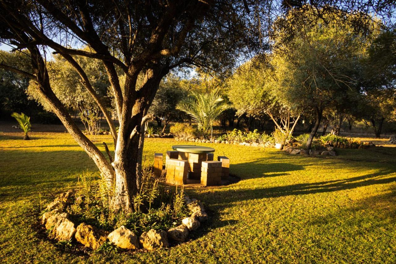 Olienhoff Guesthouse And Rest Camp Otavi Extérieur photo